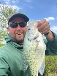 Awesome Long ear caught today at the creek.