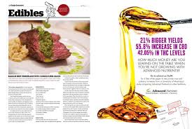 Beef tenderloin with chimichurri sauce. Basque Beef Tenderloin With Chimichurri Sauce High Times February 2018