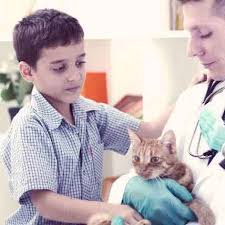 When my son was three, one of his preschool teachers died suddenly. 10 Tips For Explaining Pet Death To Children Petcarerx