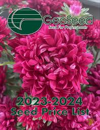 Image result for Melinis macrochaeta