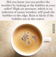 To make a tin can barometer, you will need a tin can, a balloon, a rubber band, glue, two plastic straws or coffee stirrers, construction paper, and an index card. Predict The Weather With Your Coffee