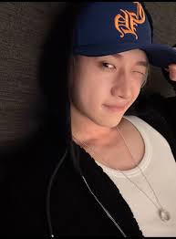 Christopher J Vanness"