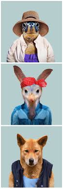 Animal Portraits Animals Pet Portraits Unique Animals