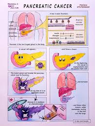 If you are told you have your doctor can tell you how these numbers may apply to you, as he or she is familiar with your. Psancholab On Twitter Do You Know What The Pancreas Is Do You Know Its Functions And What Happens When A Tumor Appears An Artist Has Created And Donated This Comic To