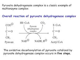 Pyruvate Decarboxylase - Proteopedia, Life In 3D