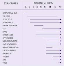 gestational sac an overview sciencedirect topics