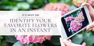 Check spelling or type a new query. Flower Id Apps You Should Have If You Love Flowers Busch S Florist Greenhouse