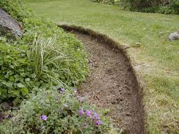 We did not find results for: How To Edge A Flower Bed And Produce Clean Curves Dengarden