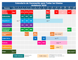 De la mano de iati, tu especialista en seguros de vida, toda la información sobre el calendario de vacunación 2020. Vacunacion Infantil Guia Para Padres Con Las Principales Novedades Calendario De Vacunas 2020 Para Todas Las Edades En Andalucia Diario Sur
