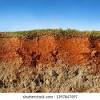 Types of soil there are three main types of soil, each offering different qualities: 1