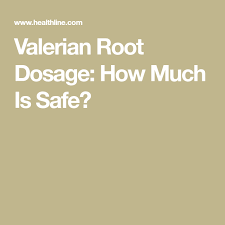 How Much Valerian Root Can I Take Safely Valerian Root Valerian Root Dosage Valerian