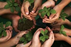 world environment day 2020 all about history significance of the day and theme this year world environment day 2020 all about