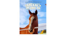 Cheval Libre 06 - Journal de l'association (French Edition ...