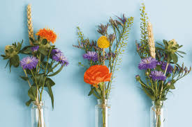 The way they are delicately preserved celebrates their structure and architecture, making them a beautiful and i. Posy Party Bloom Wild