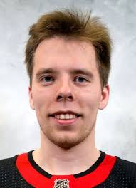 Player photos for the 2018-19 Belleville Senators at hockeydb.com