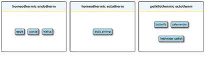 Chapter 40 Mastering Biology Flashcards Quizlet