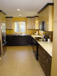 kitchen remodel midcentury kitchen