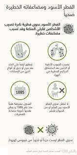 تشير بعض الدراسات إلى أن نحو 80 في المئة من المصابين بالفيروس يشعرون بأعراض طفيفة، أو لا تظهر عليهم أعراض على الإطلاق، بيد أن عددا قليلا آخر قد يعاني من أعراض. Ø§Ù„ÙØ·Ø± Ø§Ù„Ø£Ø³ÙˆØ¯ Ù…Ø§ Ù‡Ùˆ ÙˆÙƒÙŠÙ ØªÙ†ØªØ´Ø± Ø¹Ø¯ÙˆØ§Ù‡ Cnn Arabic