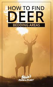 The first step is to search broadly for areas that have buck bedding potential. Pin On Hunting