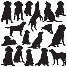 Download Labrador Images Free Vectors Stock Photos Psd