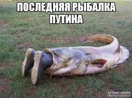 Газовые переговоры с РФ в Брюсселе затягиваются - Цензор.НЕТ 6643