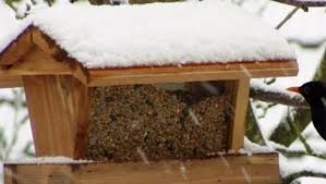 A love of parties, artistic and culinary encounters. Mangeoire Pour Oiseaux Mode D Emploi Botanic