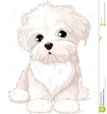 It's not only fun to play with by the children but children can also express their love and care for other creatures. Realistic Maltese Puppy Coloring Pages Printable Coloring Pages House