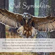 Owl Symbolism Owl Spirit Animal Eurasian Eagle Owl Owl Symbolism