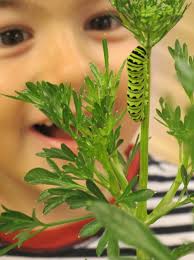 Miss Rhonda's Readers