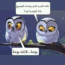 Kartun burung hantu tangan digambar lucu png grafik gambar unduh. Pin By Queen S On Arabic Words Funny Arabic Quotes Funny Pictures Fun
