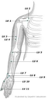 Acupressure Points Chart Acupressure Treatment