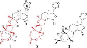 Image result for Harrisonia