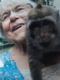 Sangeh Monkey Forest is in a 14 hectare rainforest forest, near Ubud. It's  an amazing experience hanging with the grey long tail macaques. Well  behaved and well looked after. Not crowded. Belongings