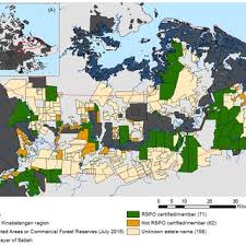 See maju antara sdn bhd's products and suppliers. Pdf An Impact Analysis Of Rspo Certification On Borneo Forest Cover And Orangutan Populations
