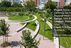 The site plan also includes the house footprint, a north arrow, a graphic scale and a legend for the plant symbols and line types. Planting Plan 10 Common Mistakes You Should Always Avoid