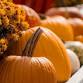 Norman Bird Sanctuary Harvest Fair