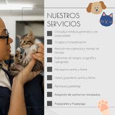 Hospital Veterinario Hualpen (HVH) - House Pets