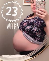 23 Weeks Pregnant With Twins Update Budget Savvy Diva A small stomach size doesnt necessarily mean. 23 weeks pregnant with twins update