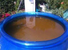 Braunes Wasser Poolwasser Pool Wasser Pool