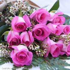 Pink Rose With Orchid Flower Display Picture Orchid Flower Pretty Flowers Flowers