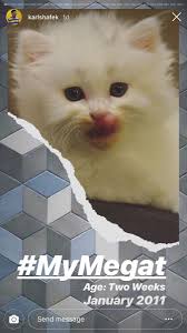 Bayangkan anda tidur satu bilik bersama kucing dan kemudian ia akan bangun sekitar 2 atau 3 pagi, sudah pasti mereka akan mencakar atau menjilat muka anda. Terima Kasih Kerana 7 Tahun Setia Bersama Papa Luahan Karl Shafek Untuk Kucingnya