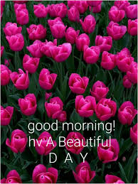 Good morning tuesday flowers images and messages. Pin By Sonomi Fujita On Good Morning Morning Images Good Morning Images Good Morning Roses