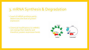 It is estimated that the human proteome consists of ~300,000 different proteins, or about 10x more than the number of genes (!) slideshow 441828 by corinna. Protein Profiling Ppt Download