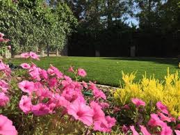 It is important to understand what each tool's function is and how it works for your artificial turf can be seamed together to create larger widths. Artificial Grass Palm Desert Artificial Turf Purchase Green