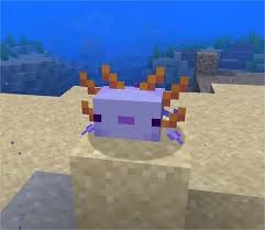 Complete guide to axolotls in minecraft 1.17 the caves and cliffs update (snapshot 20w51a) подробнее. Minecraft Snapshot 20w51a L Axolotl Actualite Minecraft Fr Minecraft