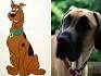 What Kind of Dog Is Scooby Doo? - Fatherly | Fatherly