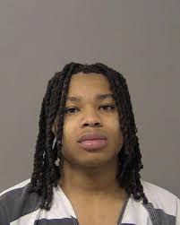 Macon County, IL Arrests