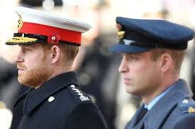 Princess Leonor looks every bit the future Queen in elegant wintry get-up  for royal duties