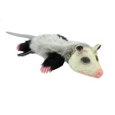 1,000+ vectors, stock photos & psd files. Realistic Animal Dog Toy Stuffing Free With Squeaker Possum Or Skunk Dogs Toys Possum Walmart Com Walmart Com