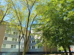 Die objektkategorie der immobiliensuchmaschine newhome lautet für diese seite: 2 Zimmer Wohnung Dortmund Westerfilde 2 Zimmer Wohnungen Mieten Kaufen